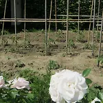 La Da Caterina 아파트 *