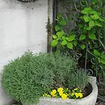 Apartman La Da Caterina