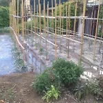 La Da Caterina Apartman