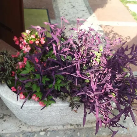 Apartman La Da Caterina *
