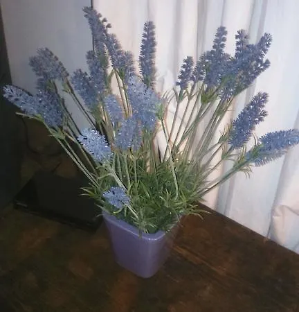 Apartman La Da Caterina *