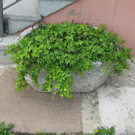Apartman La Da Caterina
