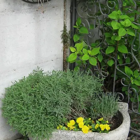 Apartman La Da Caterina