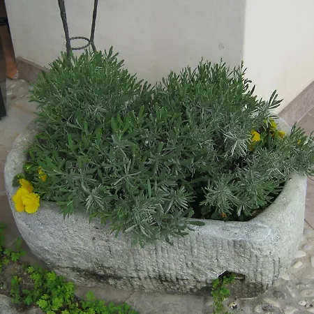 Apartman La Da Caterina *