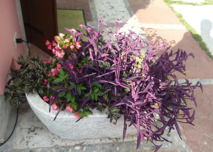 アパート La Da Caterina *