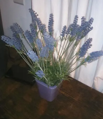 アパート La Da Caterina *