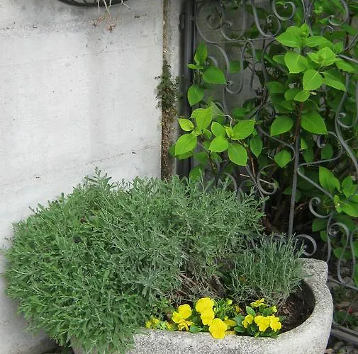 アパート La Da Caterina