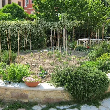 La Da Caterina Apartment Vittorio Veneto